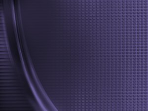 宠物骨折急救技巧，移动时如何避免二次伤害